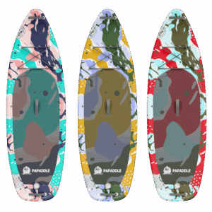 Modèle FLUID de PAPADDLE