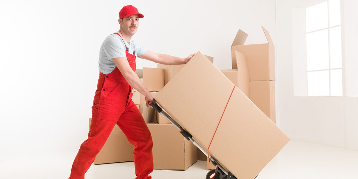 engagements_papaddle-1